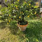 Σπίτι διακοπών Opera21 Tuscany Single House Lucignano