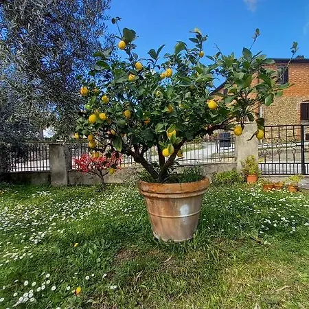 Сasa de vacaciones Opera21 Tuscany Single House Lucignano